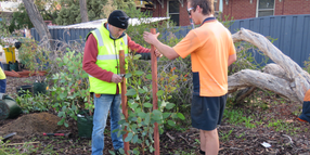 More trees in Freo thanks to Water Corp and WALGA