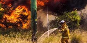 First of its kind expo offers family fun weekend to support locals to be bushfire ready