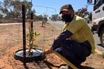 Help available for tree planting