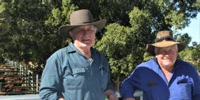 Records continue to fall at Blackall's July weaner...